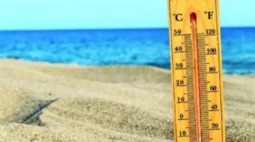 تنبيه عاجل للمسافرين على طرق القاهرة بسبب الشبورة والرياح الشديدة